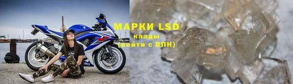 дурь Гусев