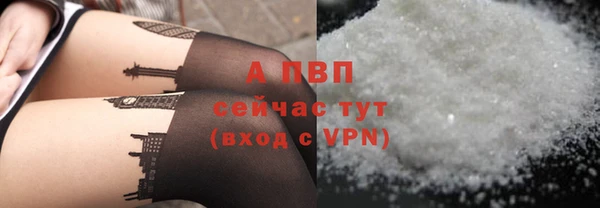 дурь Гусев