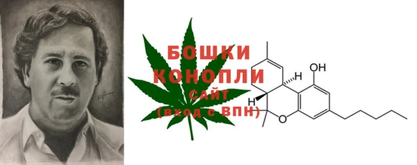 дурь Гусев