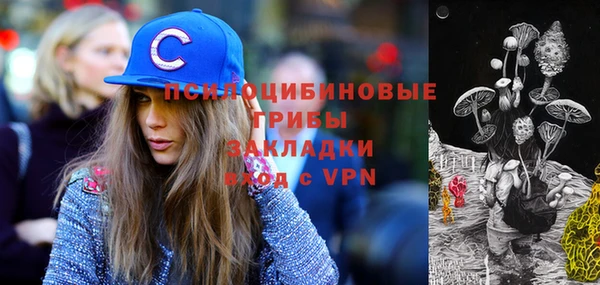 молекула духа Гусь-Хрустальный