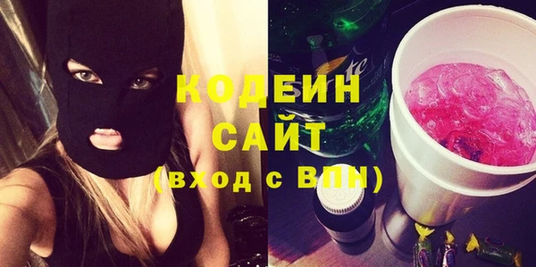дурь Гусев