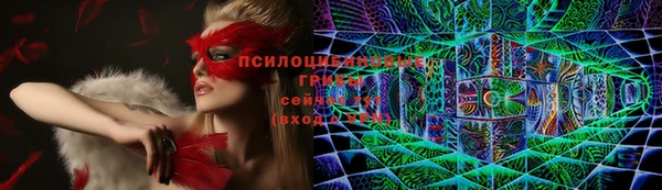 молекула духа Гусь-Хрустальный