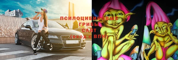 дурь Гусев