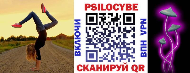 МЕГА tor  Железногорск-Илимский  Галлюциногенные грибы Cubensis 
